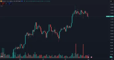 Bitcoin klesol na 115 000 dolárov