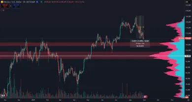 Bitcoin padol o 13 %