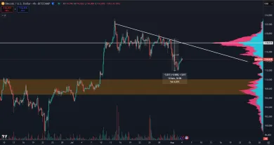 Bitcoin padol z maxima o 9 %