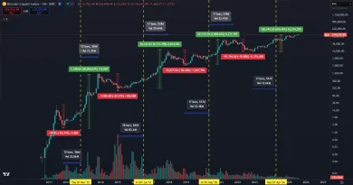 Bitcoin sa môže blížiť k vrcholu cyklu