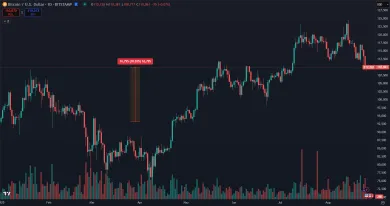 Bitcoin v roku 2025 prekonal 124 500 dolárov