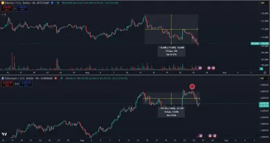 Bitcoin verzus Ethereum