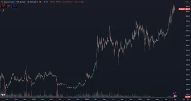Cena kryptomeny Binance coin