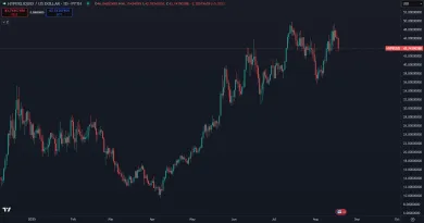 Cena kryptomeny HYPE