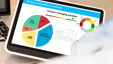 Diverzifikácia portfólia