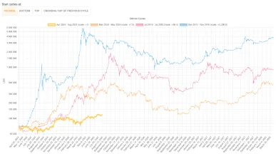 Halvingové cykly Bitcoinu