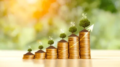 Kryptomeny a princíp zloženého úročenia