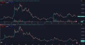 Meme coiny sú v hlbokej korekcii už dnes