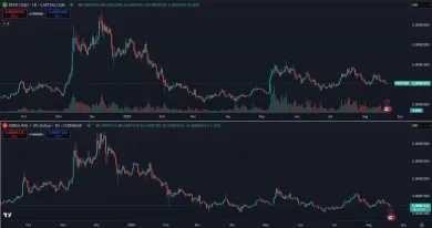 Meme coiny sú v hlbokej korekcii už dnes