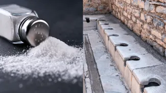 Najbizarnejšie dane v histórii