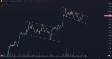 Opakovanie vlajkového scenára