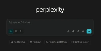 Perplexity SI chatbot