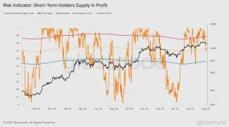 Pokles podielu zisku krátkodobých držiteľov