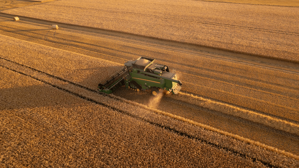 Slovenská žatva prekonala očakávania