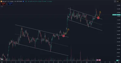 Spätné otestovanie nového supportu