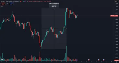 Trhová cena XRP rastie