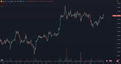 Volatilita kryptomien je obrovská