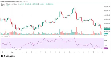 Vývoj RSI a ceny Bitcoinu