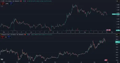 XRP a BNB blízko maxím