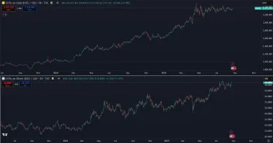 Zlato a striebro stúpajú