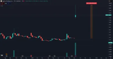 Akcie Eightco a neuveriteľný rast