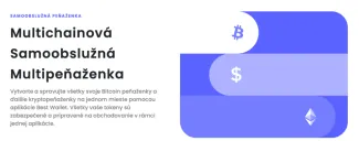 Best Wallet podporuje viacero sietí