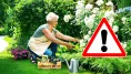 Bežná činnosť na záhrade vás môže stáť 1 500 eur