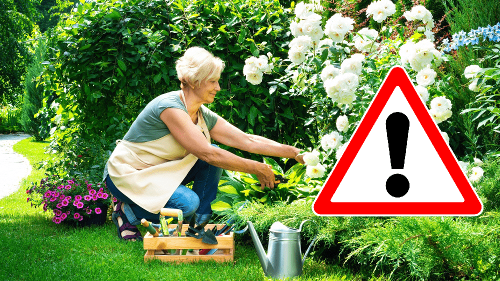 Bežná činnosť na záhrade vás môže stáť 1 500 eur