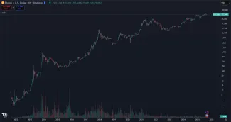 Bitcoin a jeho dlhodobý vzostup