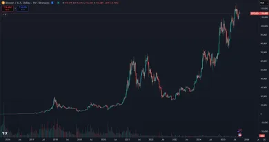 Bitcoin a jeho vzostup