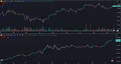 Bitcoin a zlato v roku 2025