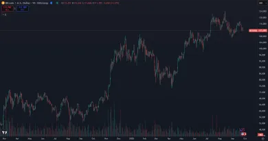 Bitcoin blízko svojho maxima