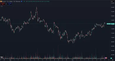 Bitcoin mierne klesá