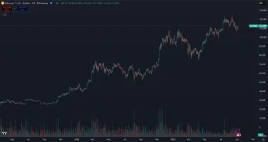 Bitcoin zaznamenal najstabilnejší vzostup histórie