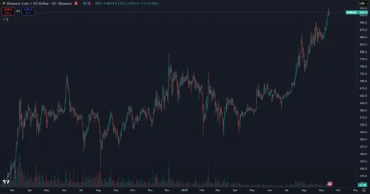 BNB na historickom vrchole