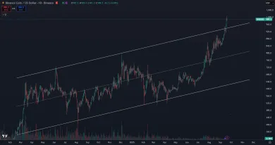 BNB prekonal 1 000 dolárov