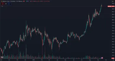 Cena kryptomeny Binance Coin