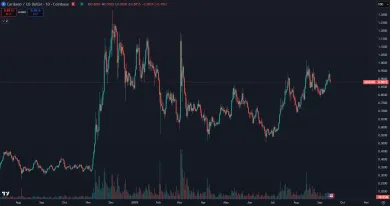 Cena kryptomeny Cardano