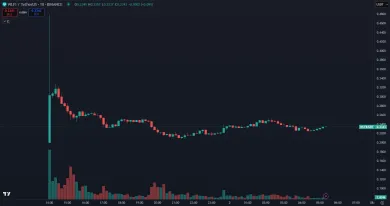 Cena tokenu WLFI po debute