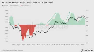 Čistý realizovaný profit a strata ako percento z kapitalizácie