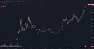 Dlhodobý rast kryptomeny BNB