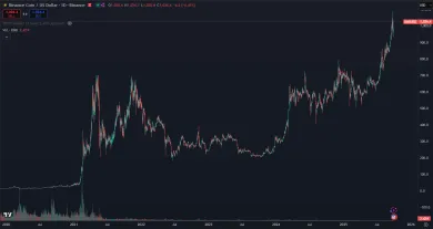 Dlhodobý rast kryptomeny BNB