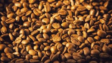 Jamaica Blue Mountain