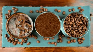 Káva Geisha z Panamy