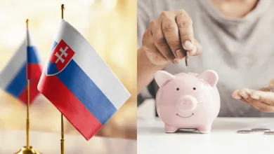 Konsolidácia na vážkach