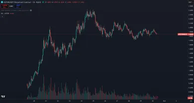 Kryptomena Aster je nováčik