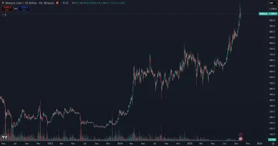 Kryptomena BNB láme rekordy