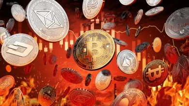 Kryptomeny a čierny pondelok