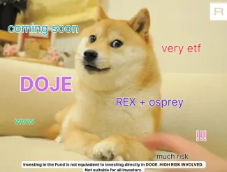 Nové Dogecoin ETF