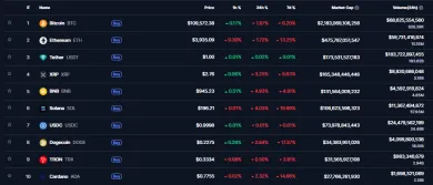 Odporúča sa investovať do top 10 kryptomien